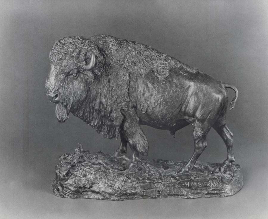 Buffalo